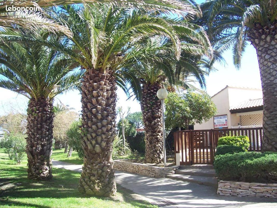 Residence Les Capitelles A Saint Cyprien Avec Acces Direct Plage- Balcon Donnant Splendide Vue Mer Et Piscine Exterior photo